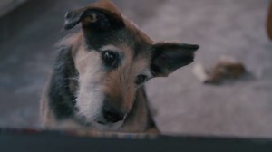 145K views · 2.1K reactions | Radion sinfoniaorkesteri - Finnish Radio Symphony Orchestra on Reels | Facebook