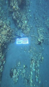 👌 | Eri Tempone Tatuil