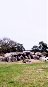 17 reactions | RUN Forest RUN on Reels | Facebook