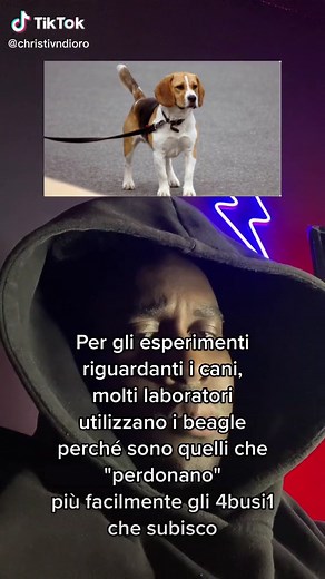 Chris Okaingni su TikTok