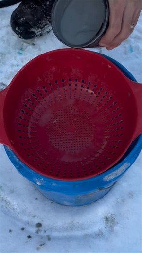 Tumbling These to use in other projects | The Petoskey Stone