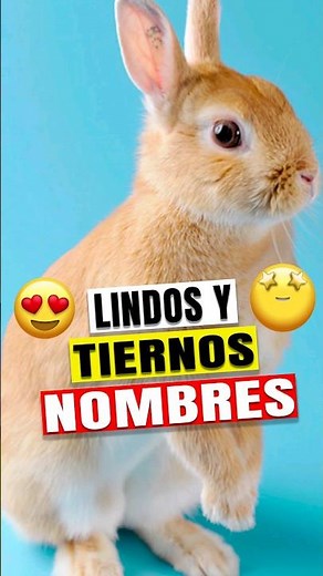 12 mombres para conejos MACHOS🐇 #conejos #nombres