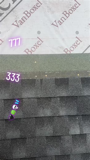 #🖤🖤🫶fypシ゚viral #CapCut #Recuerda no compitas con nadie se tu mismo enfréntate tú mismo y mírate tú mismo , verás que aprenderás de ti mismo 🖤💀🦋