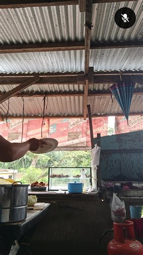 Gelma Sandiman on Reels