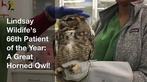 1.3K views · 92 reactions | NOM NOM NOM: Our 66th hospital patient of...