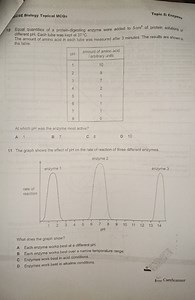 GcSE Biology Topical MCQsTopic 5: Enzymos10 Equal quantities... | Filo