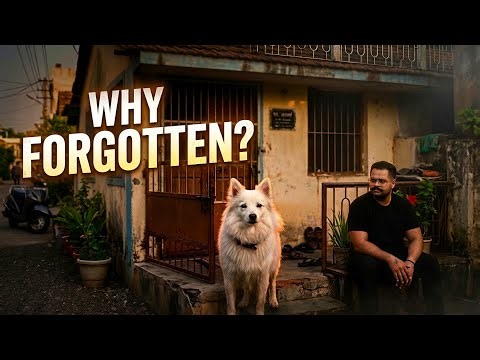 Indian Spitz | India’s Forgotten Family Dog #petpediaa