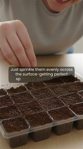 Grow Microgreens in 5 Minutes