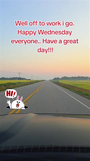 furbabymomma on TikTok