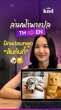 แปลหมาแมวคุยกัน ‘ส้มกับกี้’ 🐶🐱 พูดอะไรเป็นภาษาอังกฤษ