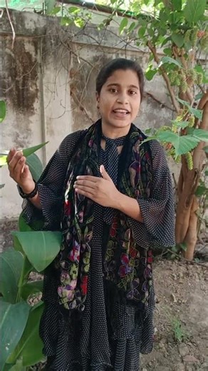 Environment क्या है ?.....