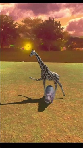 Hippo vs Giraffe - Who will win?