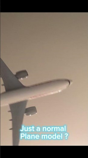 Just a normal plane model ? #jejuaircrash #aviation #planecrash #sad #b737 #subscribe #edit