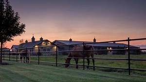 1.7K reactions · 197 shares | The best equestrian structures inside and out. Customizable, high-quality protection, with an unmatched warranty. | Morton Buildings, Inc. | Facebook