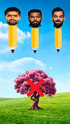 #TIMELAPSE; START to FINISHAloneBUILDLOG Cabin (Wooden House), How To Build Wooden Cabin, Surviva 4