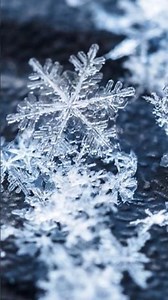 Snowflake Transforms Into a Magical Christmas Cosmos! ❄️🌌🎄