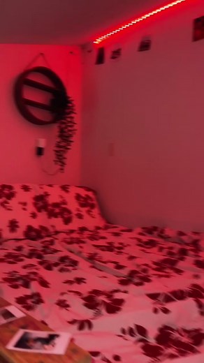 #loft #loftbed #fyp | loft bed