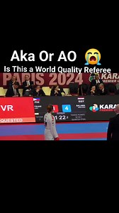 Kumite. Is This a World Quality Referee @junnatsukiiv888 | Karate Techniques