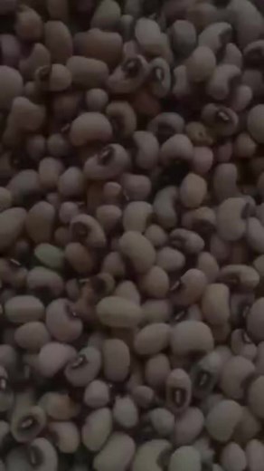 172 reactions · 60 shares | Francisco Gonzalez Torres on Reels | Facebook