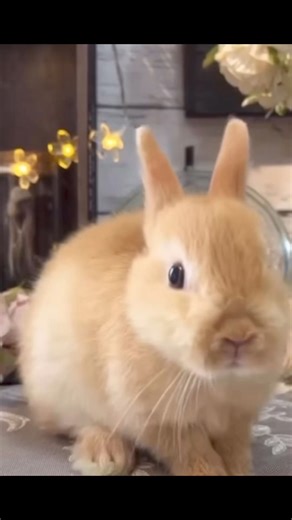 The Easter Bunny will be coming to The Henderson Castle! Will you? Check out all our cool upcoming events online at https://events.timely.fun/p362nrb4/posterboard. #eventsinkalamazoo #castle #easter #festive #joinus | The Henderson Castle