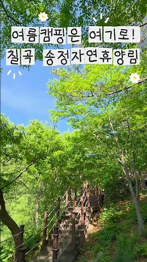경북 여름 캠핑 가기 좋은곳! 칠곡 송정자연휴양림🌿 #캠핑 #휴양림 #피서 #여행