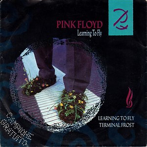 Pink Floyd - Learning To Fly / Terminal Frost