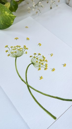 Nimisha Khandelwal on Instagram: "Well, very recently I found out that these delicate gorgeous yellow bud flower is fennel plant. I had a good time painting these loose delicate stems. Hope you'd enjoy watching it. Paints : @winsorandnewton Indian yellow and Sap Green Brush: @princetonbrush size 1 &3 Paper: @artessentialsin watercolor sheets 300gsm. #nimishakhandelwal #fennel #paintingtutorial #watercolorflowers #paintwithme #watercolorart #watercolorforbeginners"