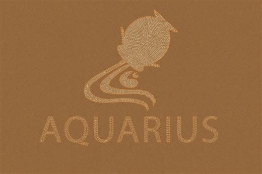Navigating the Boundless Realm of Aquarius Compatibility