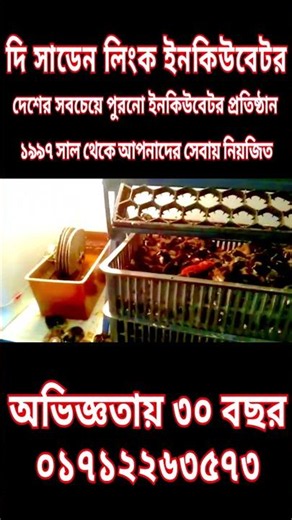 The sudden Link Incubator Co. 01712263573, 017621941