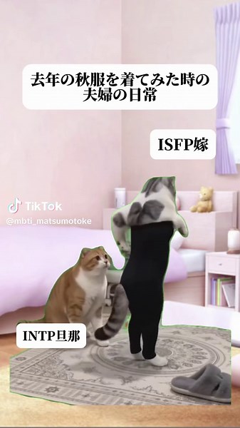 #intp #isfp #夫婦の日常 #猫ミーム #松本家の日常 | 松本家の日常