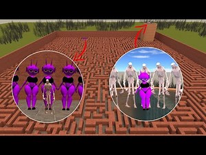 WHAT THEY ARE DOING IN MAZE In Garry's Mod