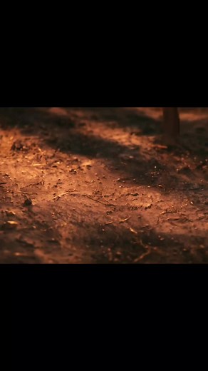 Yasuo never gets old #leagueoflegends #wildrift #yasuo #riotgames #cinematic2024