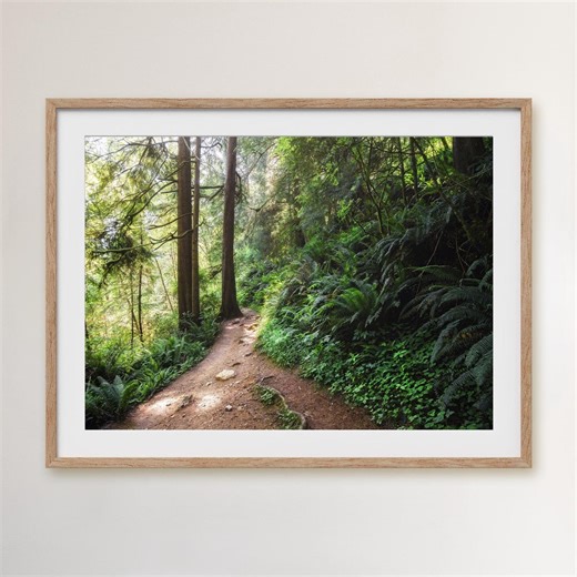 Oregon Forest Photo, Canvas or Art Print – Pacific Northwest Forest Wall Art - Etsy Canada