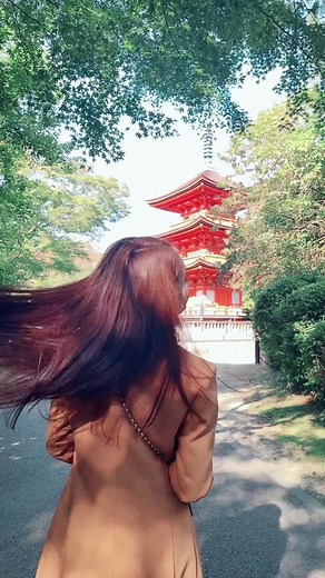 Japanese TikTok Travel Vlog | Discover Hidden Gems in Fukuoka, Kyoto, Kobe & Osaka