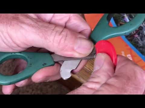 How to Sharpen Dog and Cat Clippers