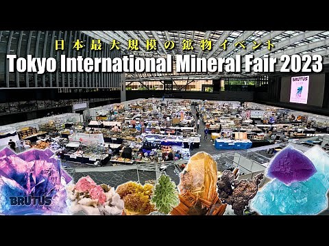 【珍奇鉱物】日本最大級の鉱物イベント「東京国際ミネラルフェア」をレポート！