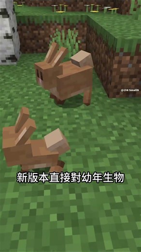 [New Minecraft Version] Name tags can be crafted now? All the baby creatures are so cute, can I h...