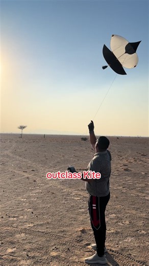 Experience the Thrill of Kite Flying at Al Ain Festival