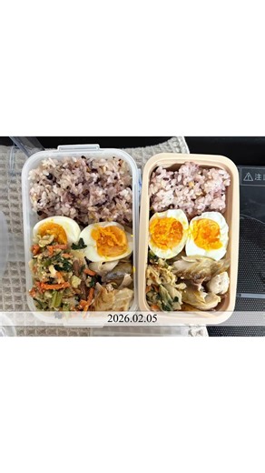 preparing lunch for my wife and myself. | weekly bento log