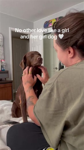 Everyday Life with a Princess Dog: Royal Canine Care