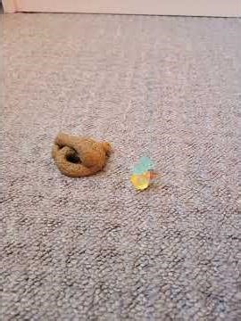 Dain the duck s1 e11: dog poo