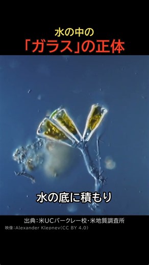 水の中の「ガラス」の正体