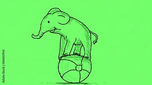 2d Animation motion graphics showing a cartoon circus elephant balancing on top of beach ball done in drawing style on white screen and green screen in HD 1080p high-definition.