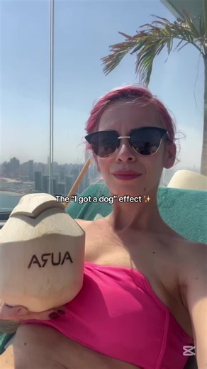 The “I got a dog” effect ✨ De jumate de an mi s-a schimbat viața 180* 😅🤯🥹 #fyp #dog #rescuedogsoftiktok #changeyourlife