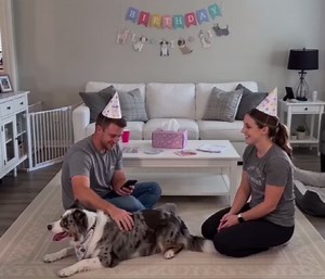 Dog Theme Happy Birthday Banner with Cute Dog Banner, Bday Party Pennant Decor, Dog Party Decorations First Birthday Party Supplies Puppy Birthday Banner