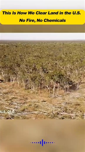 4.8K views · 20 reactions | Bulldozer + Anchor Chain = The Fastest Land Clearing Method in America.#LandClearing#BulldozerLife #HeavyEquipment#AnchorChain#ConstructionLife#ClearingLand#AmericanMachinery#EfficiencyAtItsBest | Martin says mechinery | Facebook