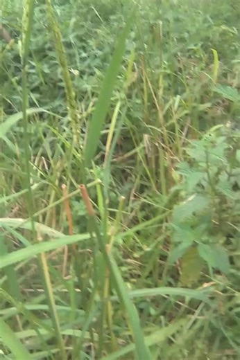 Andrew Christopher (@andrew.christophe74)’s videos with original sound - Andrew Christopher