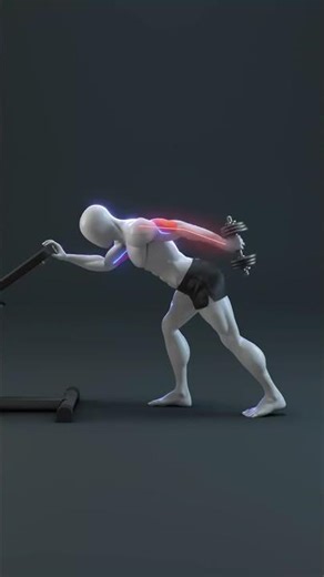 The Right Way to Exercise the Tri-Dumb The Right Way to Exercise Tri Dumbbells✅#shorts #gym