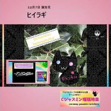 12月7日の誕生花｜🌸ヒイラギ【Cジャスミン瑠璃地楽の魔王城】 #Shorts #誕生花