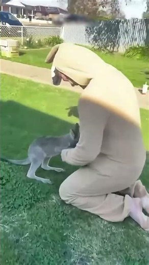 The Most REALISTIC Kangaroo Costume!